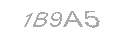 Güvenlik Kodu