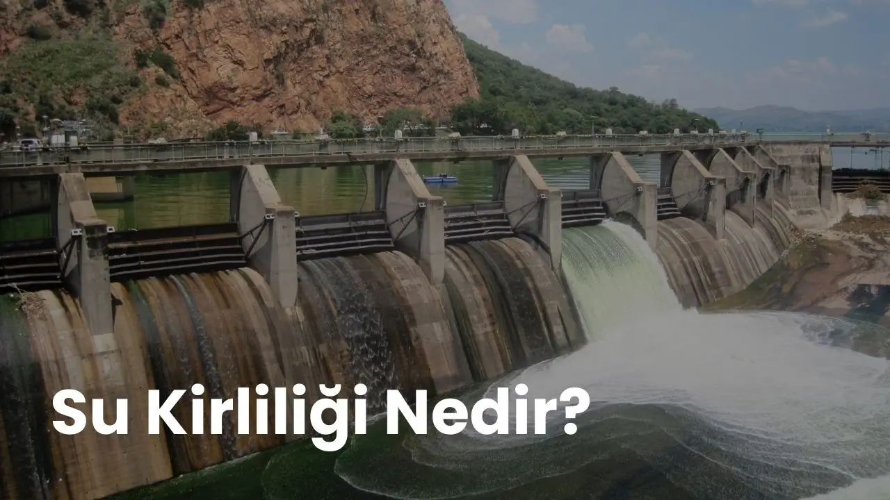 Su Kirliliği Nedir?