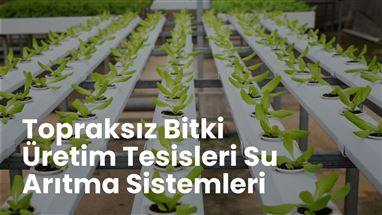 Topraksız Bitki Üretim Tesisleri Su Arıtma Sistemleri