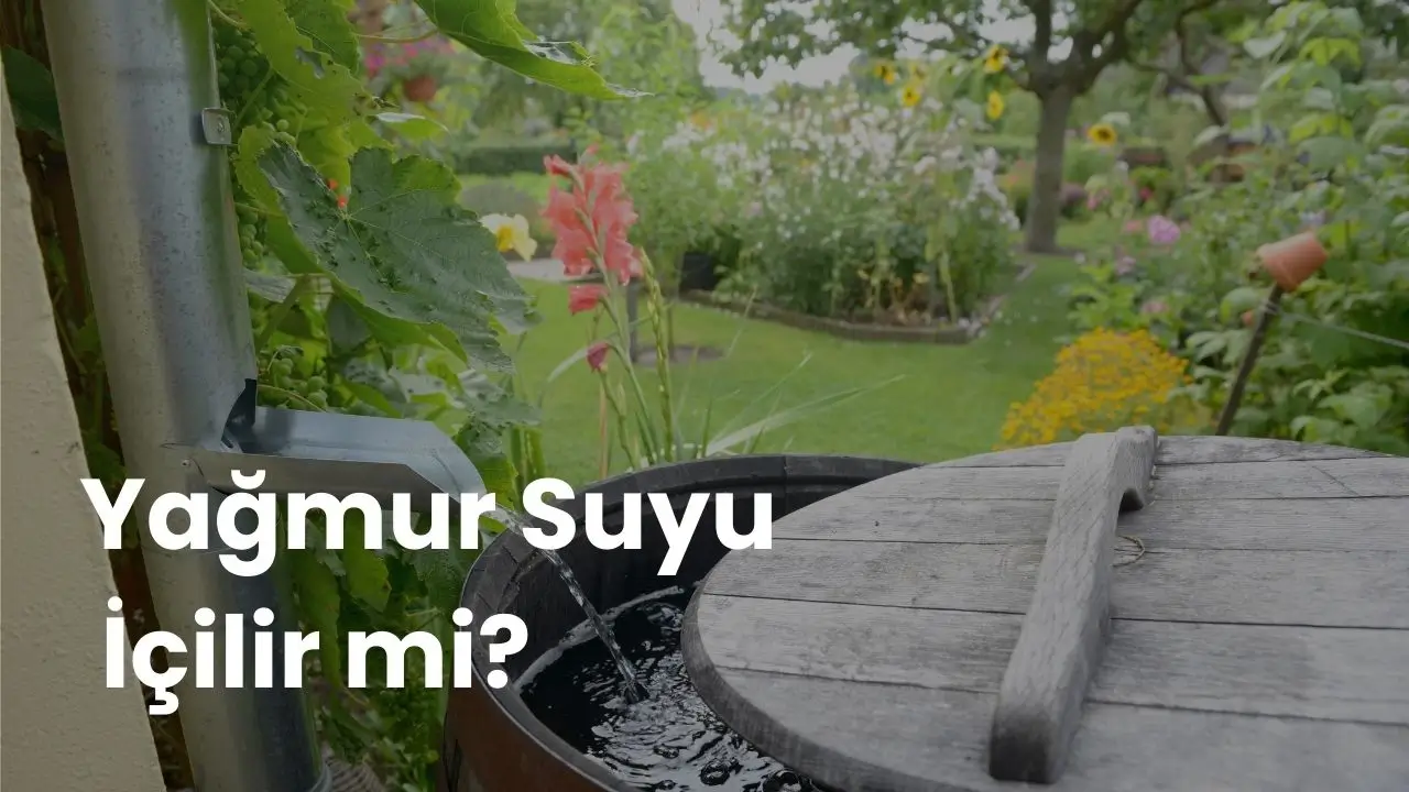 Yağmur Suyu İçilir mi? Arıtmak Gerekir mi?